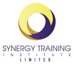 Synergy Training Institute